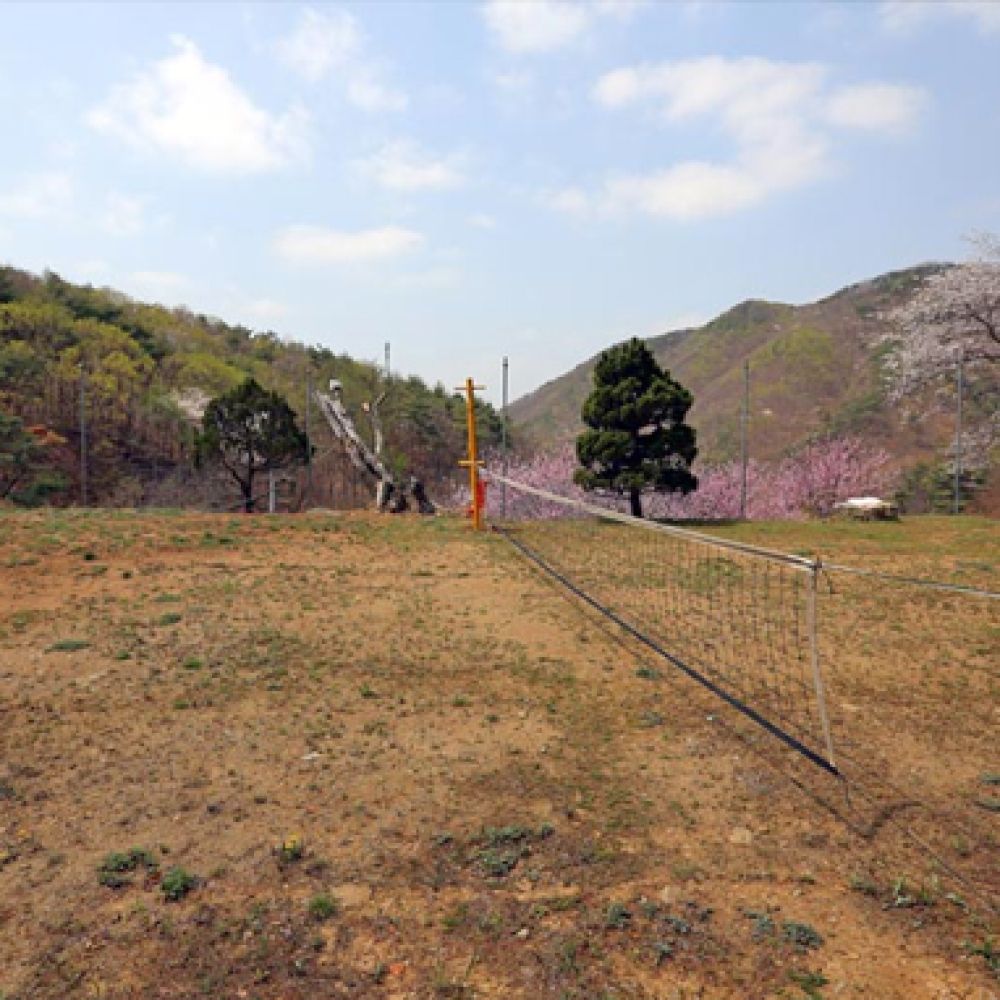 족구장