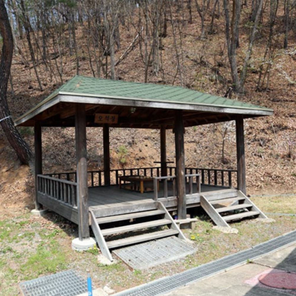 정자