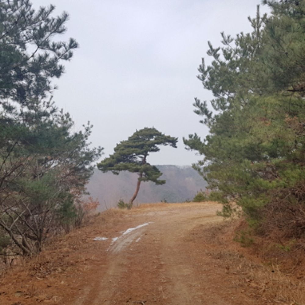 산책로