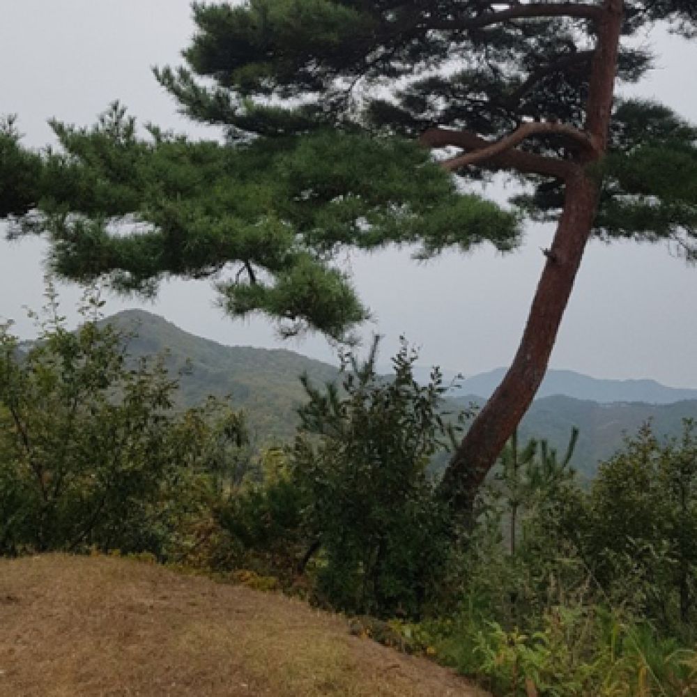 산책로
