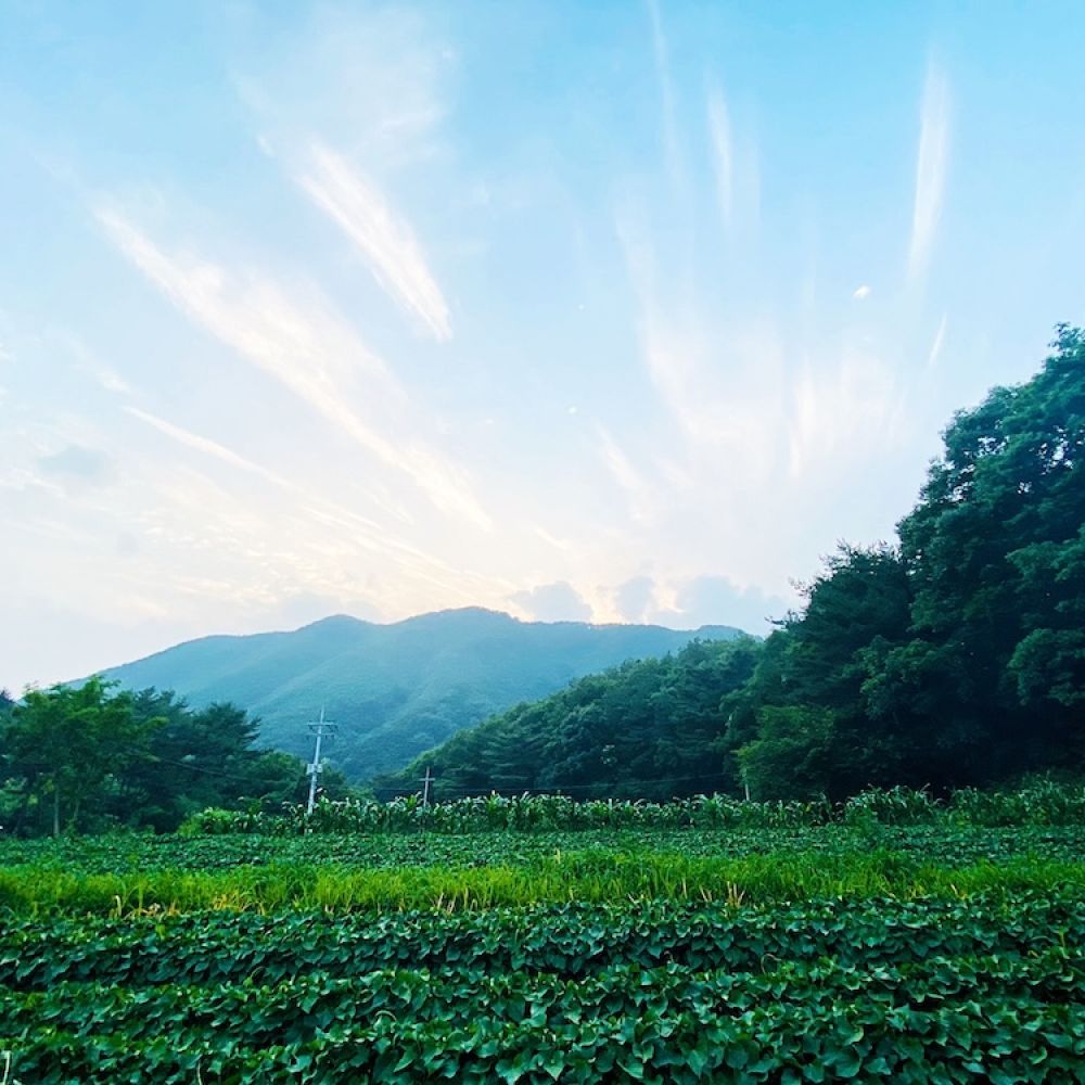 주변전경